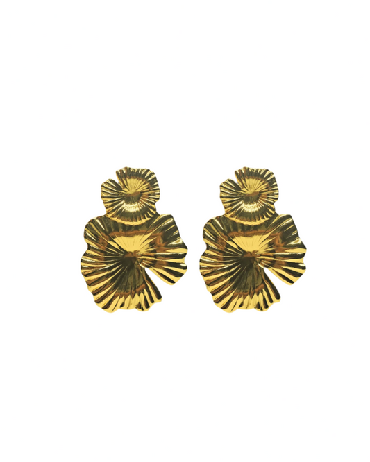 Pair of gold earrings on a white background