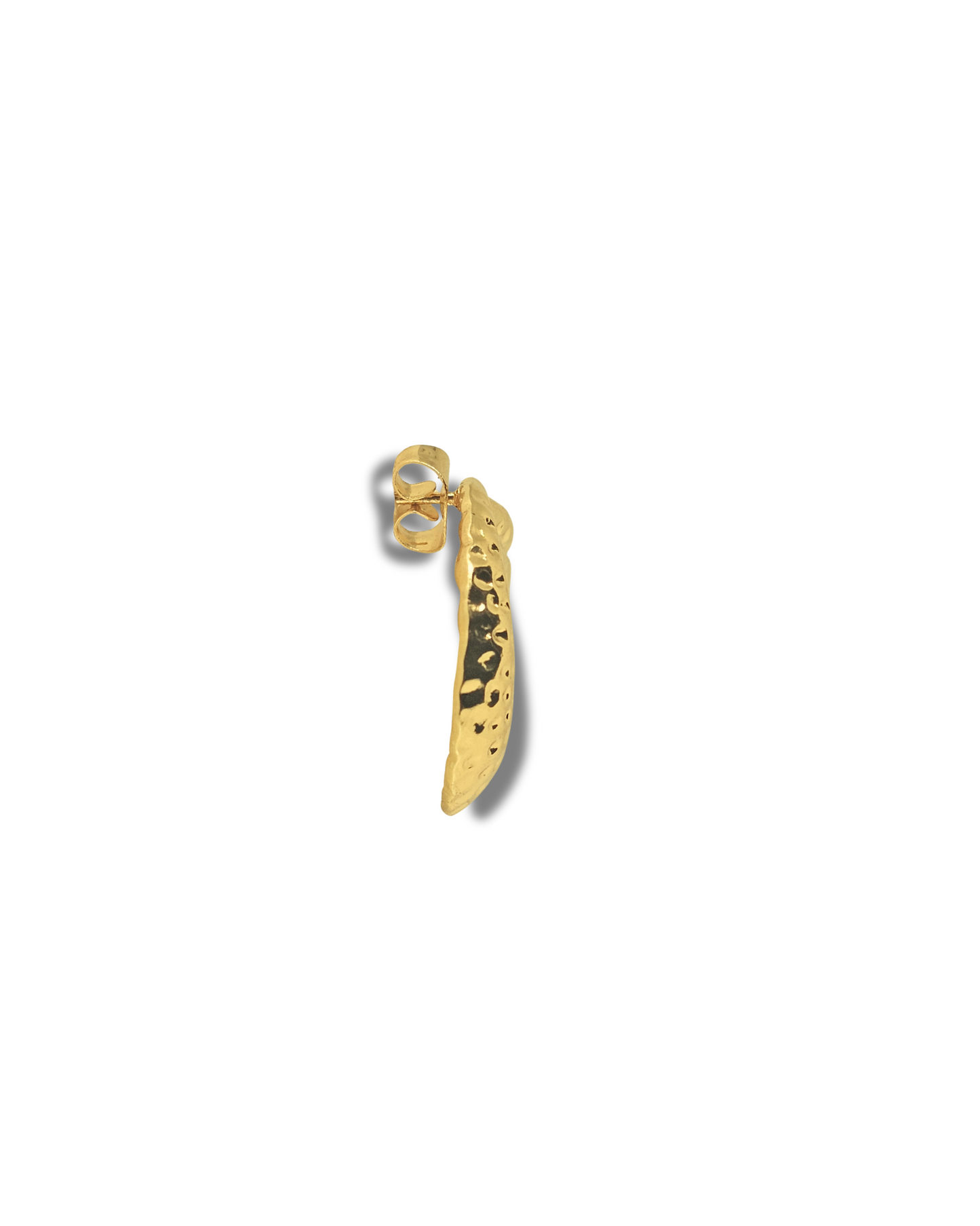 Febae Basics - Goldene Muschel-Wellenohrringe